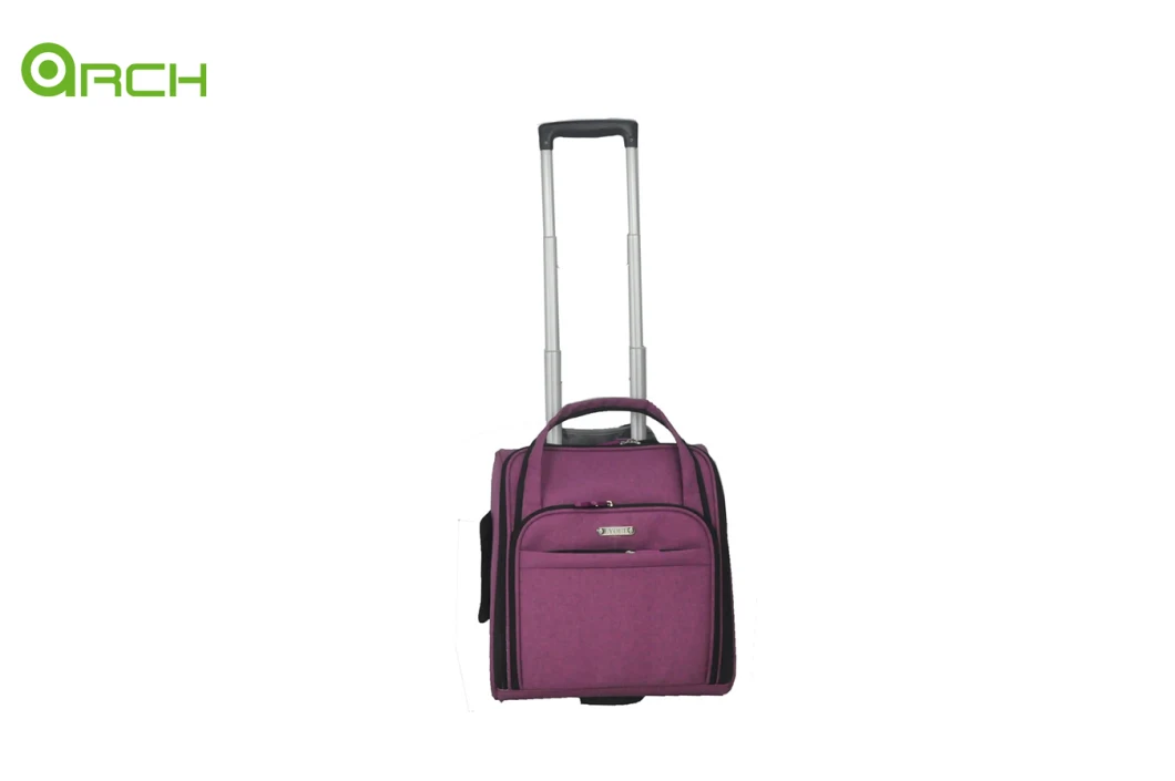 Trolley Case Luggage Underseat with Multifunctional Pocket Travel Bag