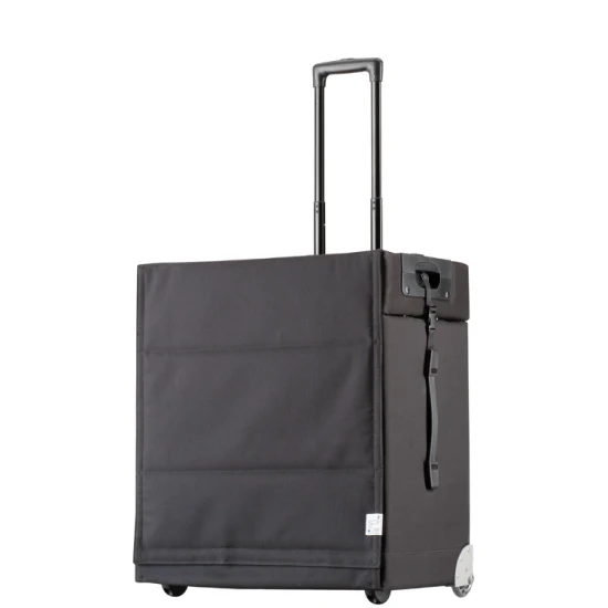 Pull-up-Case AV-270 Moda novedosa Fácil de tomar Bolsas para gafas Bolsa de muestra Vitrinas Hecho en Alemania Muestra Bolsa de equipaje de vanguardia