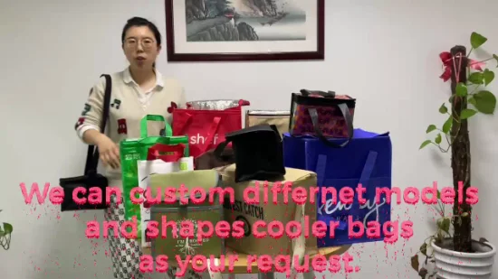 Paquete de 6 bolsas térmicas para almuerzo con aislamiento no tejido personalizado, venta al por mayor, fabricación en China